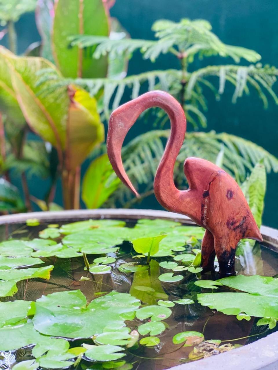 Ocean Pearl Cottage アフンガラ エクステリア 写真